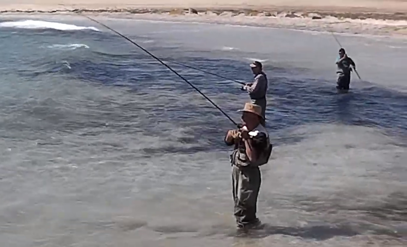 Con Atacama Fish liderando la tabla general este 23 y 24 de julio se ...