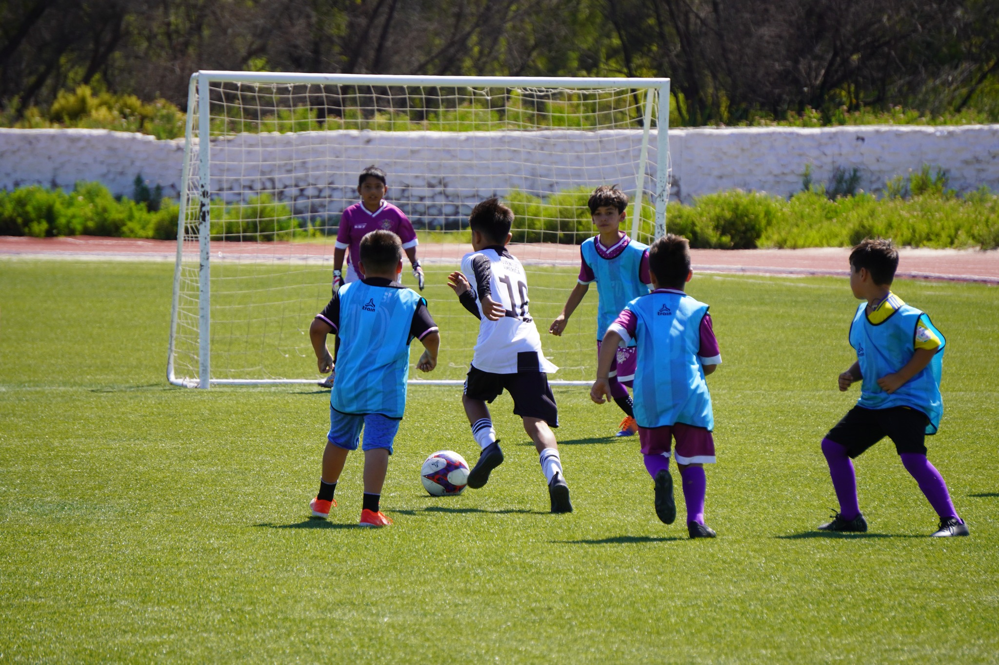 Freirina impulsa la inclusión deportiva con el campeonato pre-infantil “Penecas”