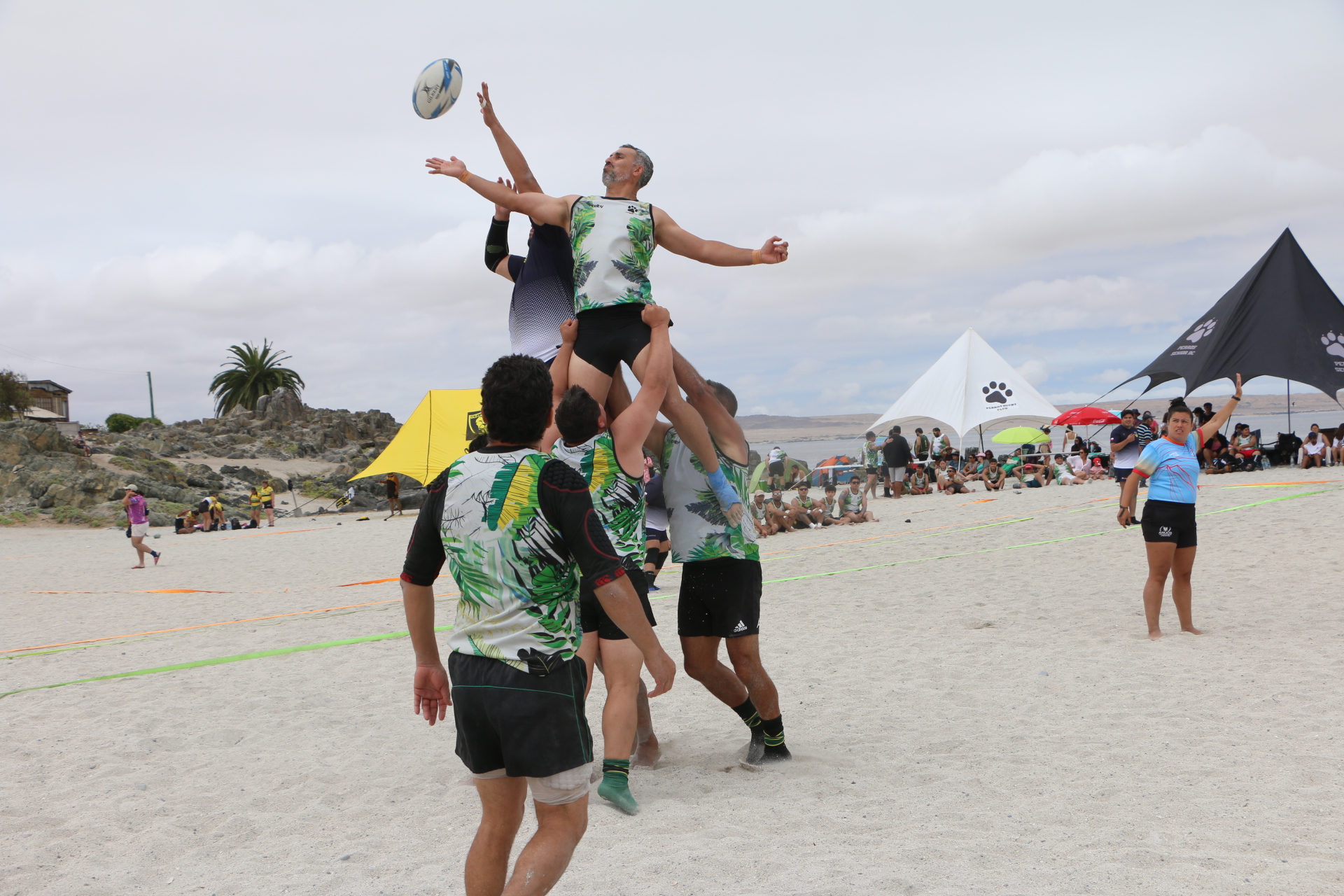 RC Perros de Copiapó y Panteras de La Serena se consagraron campeones del Seven a Side 2026 en Bahía Inglesa
