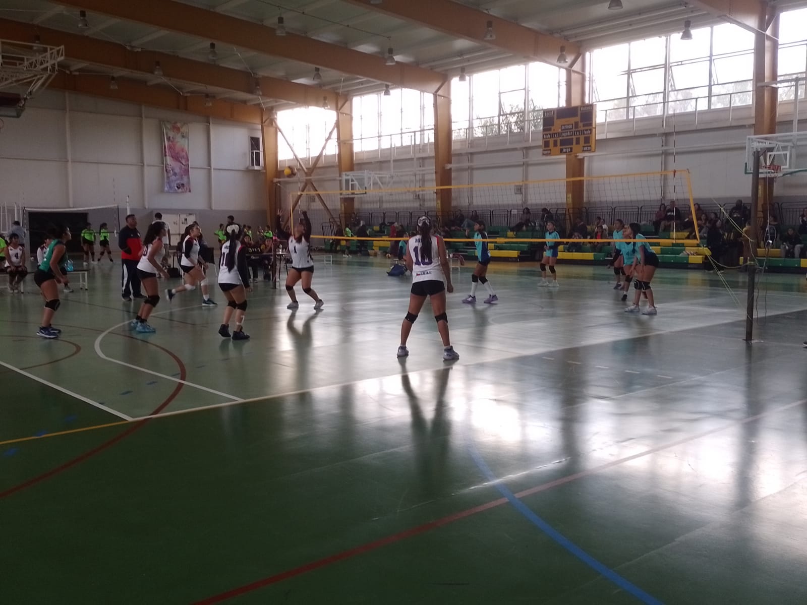 Vallenar vibró con el campeonato “Mis Primeros Pasos en el Voleibol”