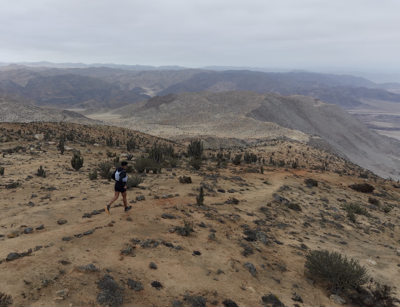 Pan de Azúcar Trail reunirá a corredores de Chile y el extranjero en una experiencia única entre deporte y naturaleza